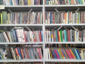 zdjęcie, półki, książki, biblioteka